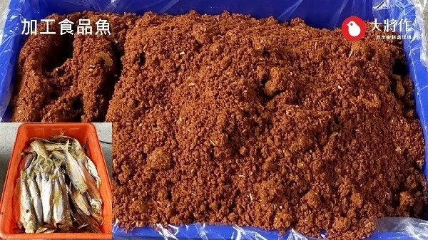 測試樣品介紹，處理內容為台中漁會加工食品魚類處理成飼料添加物處理後比較